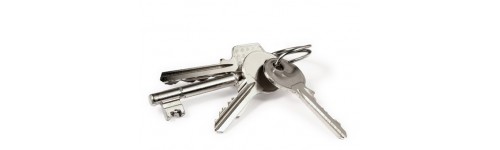 reproduction cl&eacute;s